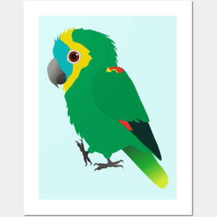 Turquoise-fronted amazon digital vector illustration Posters and Art